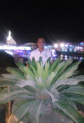 Waleed